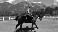 Tabby Massey / Massey Equestrian International