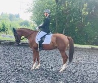 Selina Thurner / Silver / Massey Equestrian International